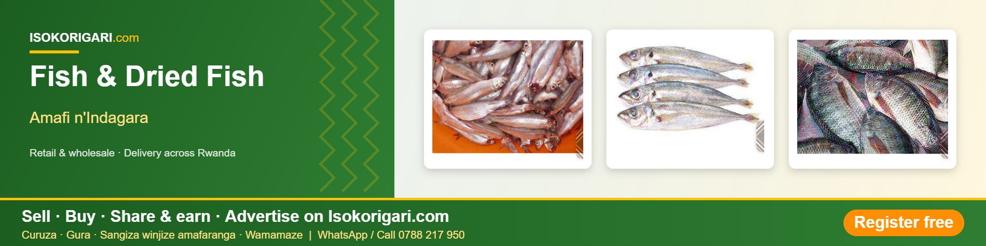 Fish & Dried Fish
