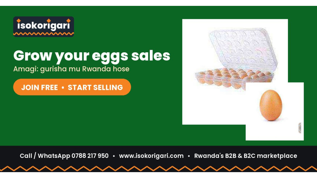 Why Eggs Businesses Are Moving to Isokorigari
