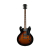 Acoustic-Electric Guitar ISO