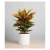 Artificial Croton Plant in White Ceramic Pot ISO