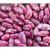 Mutiki Dry Beans ISO