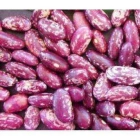 Mutiki Dry Beans ISO (Ibishyimbo bya Mutiki)
