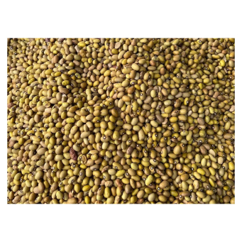 Beans, Lentils & Pulses (Ibishyimbo n'Ibinyamisogwe)