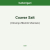 Coarse Salt ISO