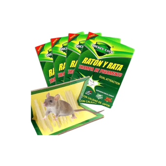 Insecticides & Mosquito Repellents (Imiti Yica Udukoko)