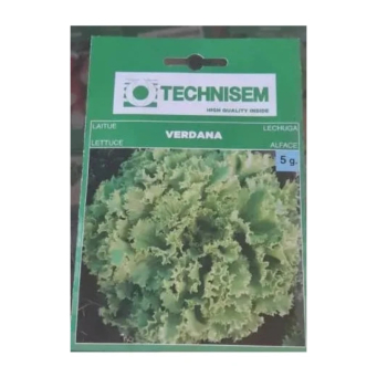 Vegetable Seeds