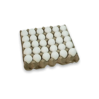 Serveware & Trays (Ibikoresho byo Gutangiza Ibiryo)