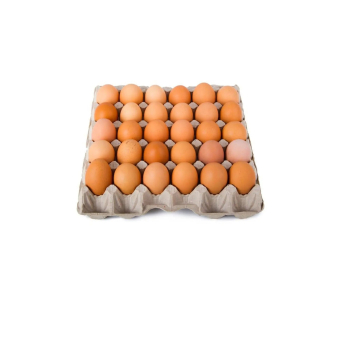 Serveware & Trays (Ibikoresho byo Gutangiza Ibiryo)