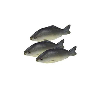Fish & Dried Fish
