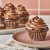 Vanilla Cupcakes with Chocolate Frosting