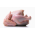 Broiler Chicken Whole