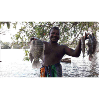 Fish & Dried Fish (Amafi n'Indagara)