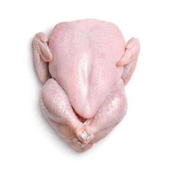 Chicken & Poultry