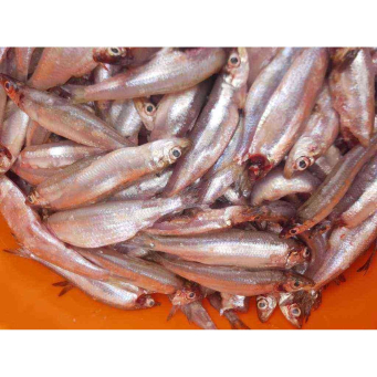 Fish & Dried Fish (Amafi n'Indagara)