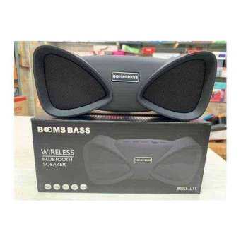 Speakers & Sound Systems