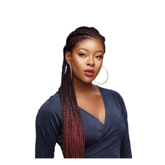 Hair Ext Braiding Hair