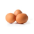 Eggs 1pcs ISO