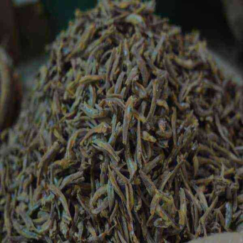 Zanzibar Silver Fish Indagara ISO (Indagara)