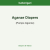 Aganze Diapers ISO