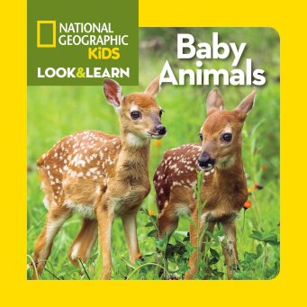 Saving Animal Babies Book ISO (Igitabo cy'Abana)