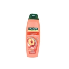 Palmolive Shampoo 350ml 2 in 1 ISO (Shampoo)