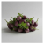 Fresh Baby Eggplants (1kg) ISO