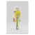Stainless Steel Lemon Zester &ndash; Citrus Peeler & Grater ISO