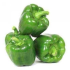 Green Bell Pepper ISO (Puwavuro y'Icyatsi)