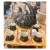 Elegant Tea & Food Serving Set &ndash; 6 Cups, Teapot, and 3-Tier Food Holders ISO