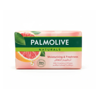 Laundry Bar Soap