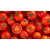 Tomatoes ISO