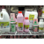 Imena Fermented Whole Milk ISO