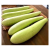 Bottle gourd (doodhi) /Pc ISO