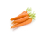 Carrot /Kg ISO