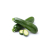 Small Zucchini-Petite Courgette/pc ISO