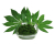 Cassava leaves(Isombe) /kg ISO