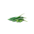 Fresh Large Chillies /500g ISO