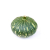 Green Pumpkin ISO