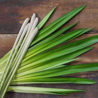 Lemongrass ISO (Umucyayicyayi)