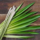 Lemongrass ISO (Umucyayicyayi)