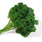 Parsley ISO (Persili)