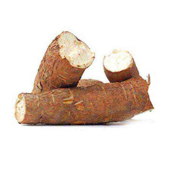 Cassava ISO (Imyumbati)