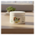 Bena Karipom Body Cream (300g) ISO