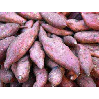 Sweet Potatoes ISO (Ibijumba)
