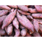 Sweet Potatoes ISO (Ibijumba)