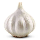 Garlic ISO (Tungurusumu)