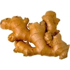 Ginger ISO (Tangawizi)