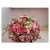 Blush Harmony Bouquet 2 ISO