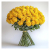 A Wrapped 100 Flowers Fresh Yellow Roses Bouquet ISO