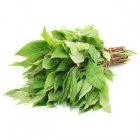 Cassava Leaves Bunch ISO (Isombe Idaseye)